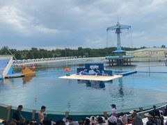 -秦皇岛乐岛海洋王国