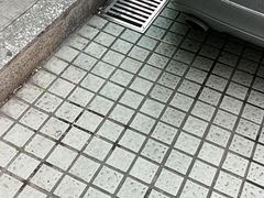-上海海洋水族馆-停车场
