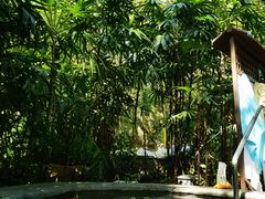 -丰泰花园酒店热矿泉