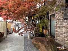 -苏州本色美术馆