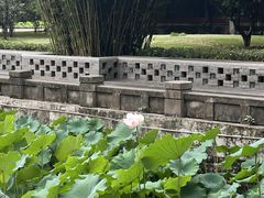 -四川大学(望江校区)
