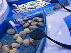 -澜悦港海鲜体验主题餐厅