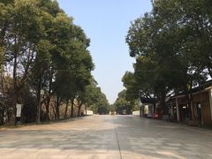 -溱湖国家湿地公园