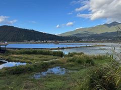 -腾冲北海湿地