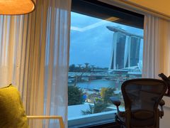 -新加坡文华东方酒店