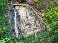 -广州白江湖森林公园