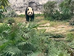 -石排湾郊野公园