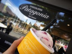 -Patagonia Chocolates(皇后镇店)