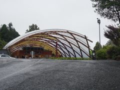 -怀托摩萤火虫洞