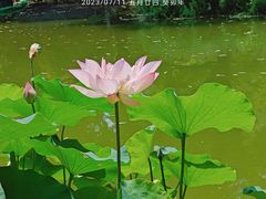 -宣武艺园