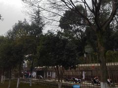 -三江森林温泉度假区