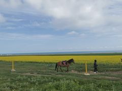 -青海湖国家重点风景名胜区