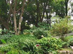 -成都市活水公园