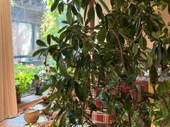 -慢丽江·云南野生菌土鸡锅(付家庄店)