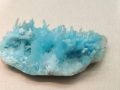 -天津自然博物馆