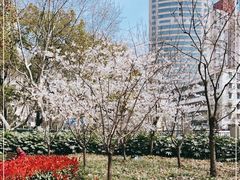 -徐家汇源景区-衡山公园