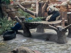 -石家庄市动物园