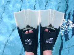 -奥体中心游泳馆