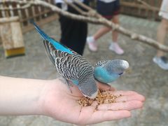 -太阳岛度假酒店