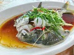 -众味海鲜大排档·活海鲜·潮汕味(南澳店)