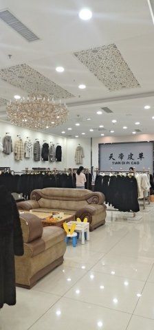 -肃宁华斯国际裘皮城