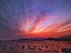 -小皓村