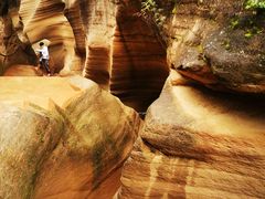 -九田家黑牛烤肉料理(万达店)