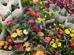 -双季花艺园艺市场(浦东店)