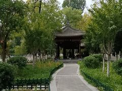 -莲湖公园