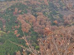 -鹫峰国家森林公园