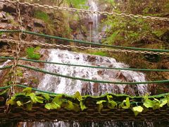 -藏龙百瀑风景区