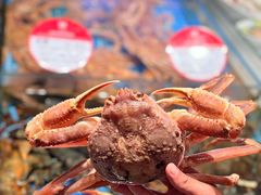 -连鹭海鲜·海肠捞饭·海胆饭(星海店)
