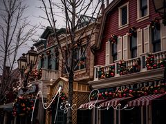 -上海迪士尼度假区