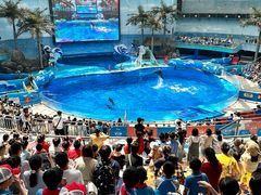 -海合安成都极地海洋公园
