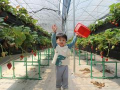 -全优加早教托育园(广百新一城店)