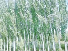 -敦煌莫高窟数字展示中心