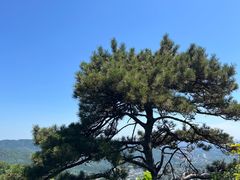 -香山公园