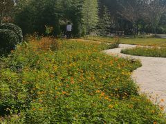 -武汉紫薇都市田园