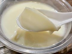 -老号尤兔头(幸福店)