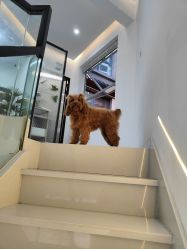 点击看大图 -猫小姐美发美甲造型店