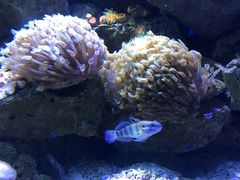 -乌鲁木齐海洋馆