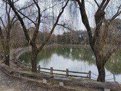 -皤滩古镇
