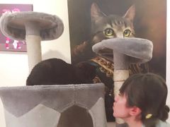 -平行世界·猫咖(首经贸店)