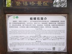 -磬锤峰森林公园