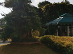 -上海市东方医院(总院)