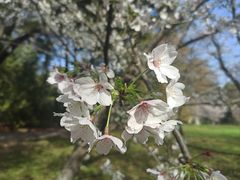 -共青国家森林公园-售票处