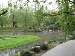 -柳浪闻莺公园