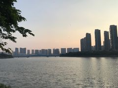 -五缘湾湿地公园