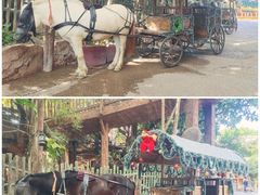 -长鹿旅游休博园