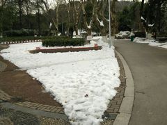 -赭山公园